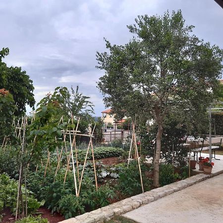 Apartment Thea Pula Dış mekan fotoğraf