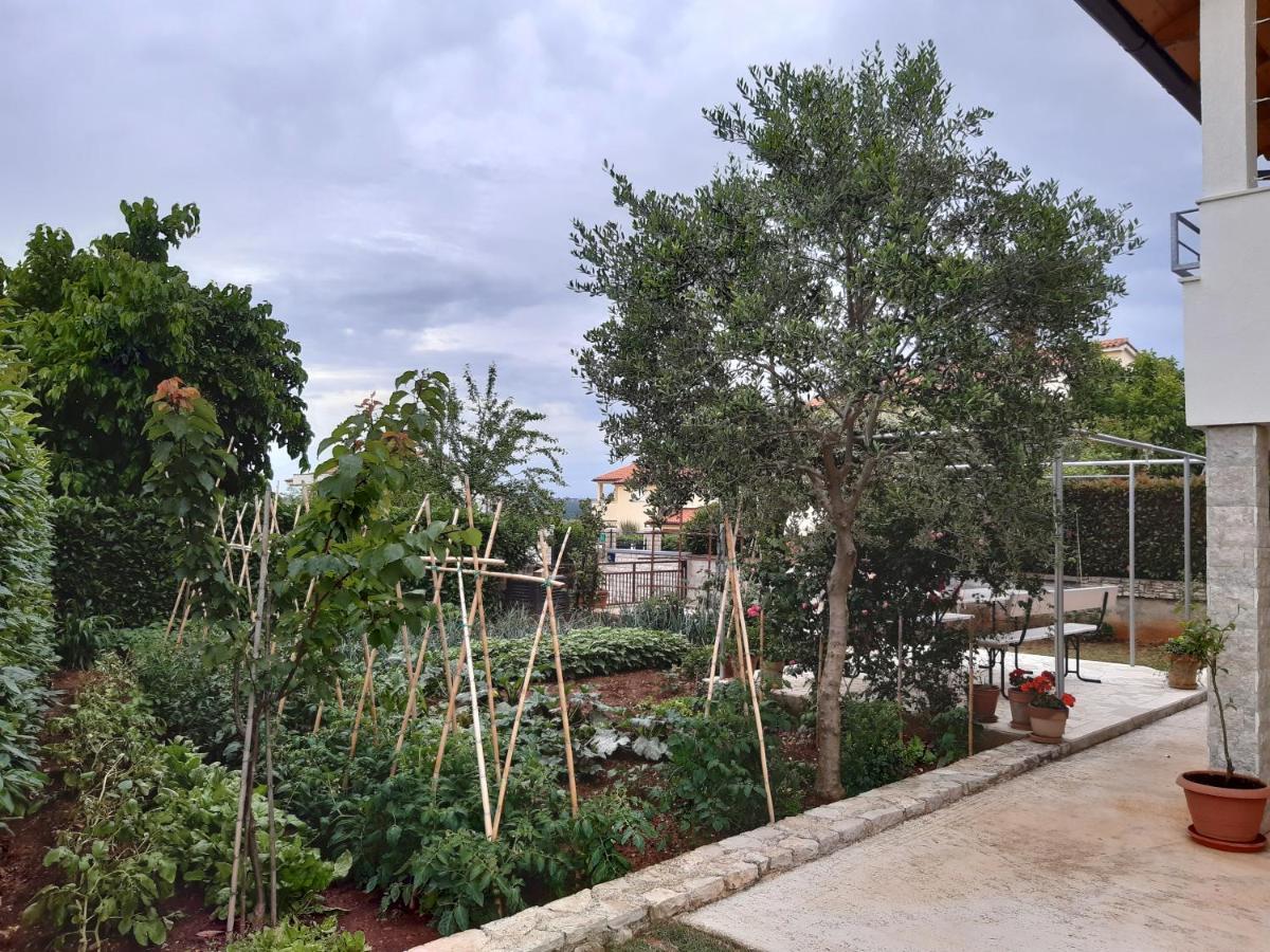 Apartment Thea Pula Dış mekan fotoğraf